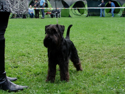 KSA_Bonn_02 KSA_Bonn_02