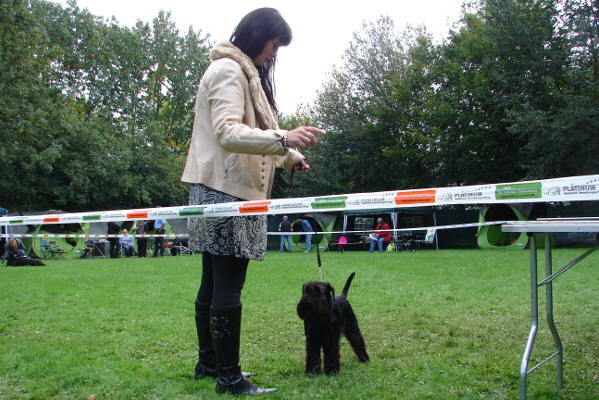 KSA_Bonn_06 KSA_Bonn_06