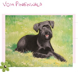 Vom Pinienwald